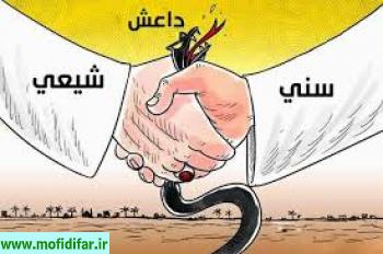 شیعه و سنی