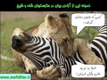 جواب دولت به انتقاد با ادبیات ویژه