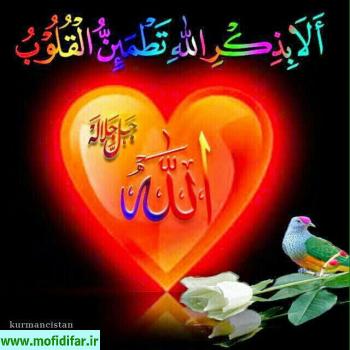 به نام خدا که یادش آرام بخش است