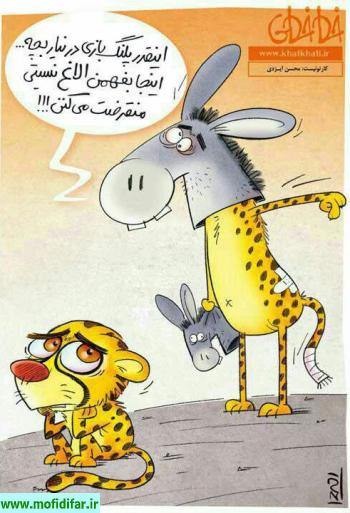 رونق بازار کتاب