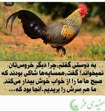 آزادی بیان